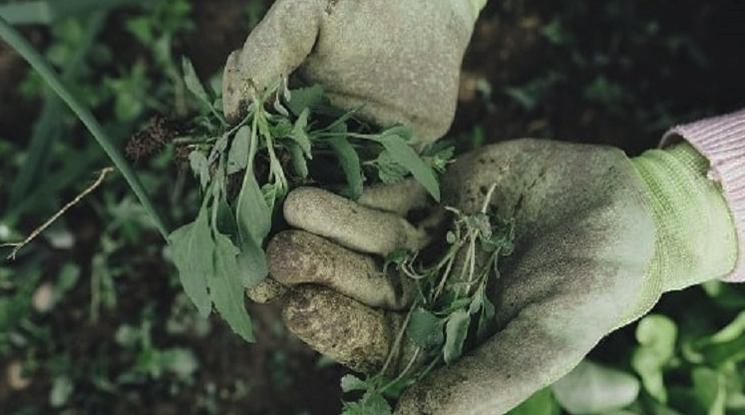 বিশেষ সতর্কতা